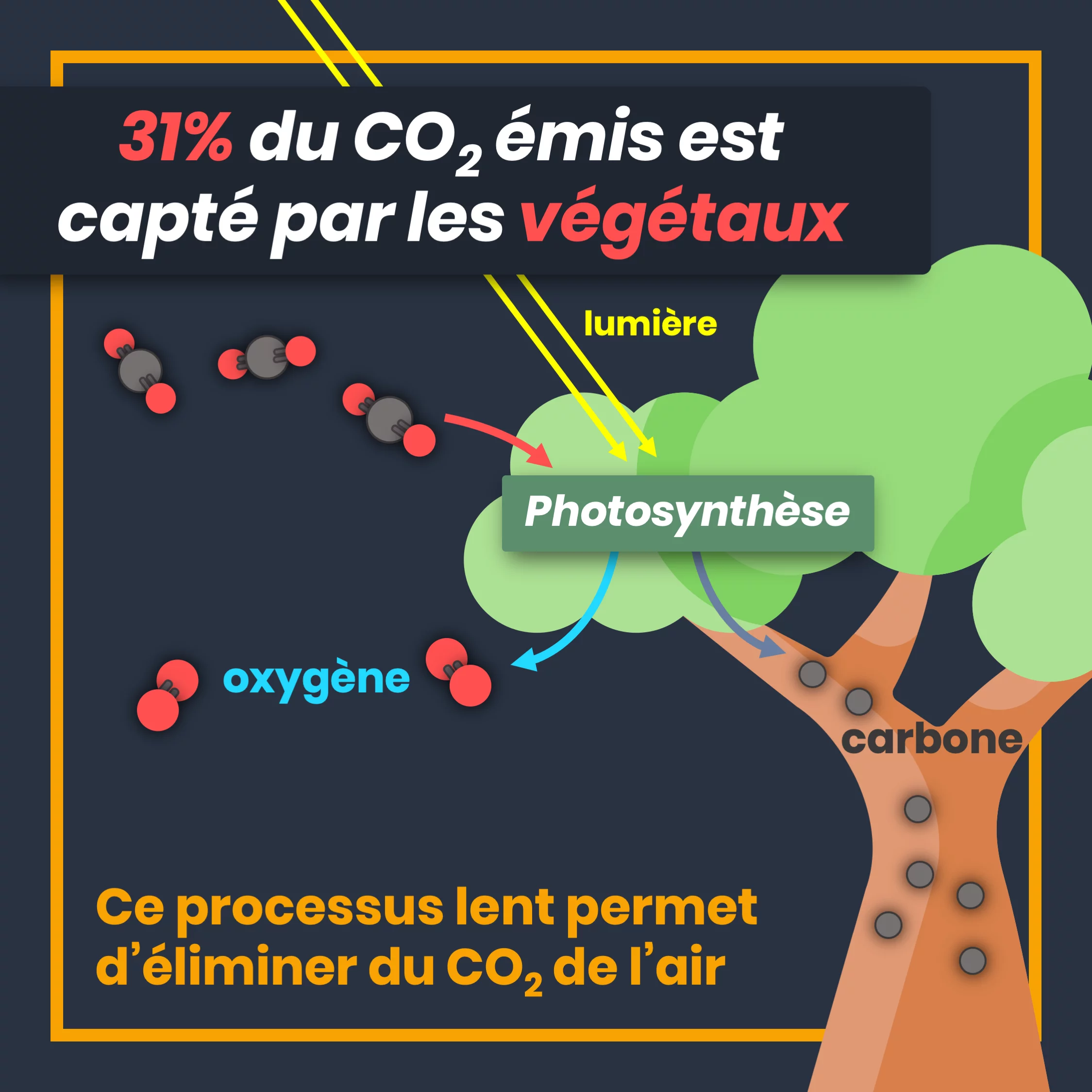 Que devient le CO2 que l’on émet ? — 5 sur 10