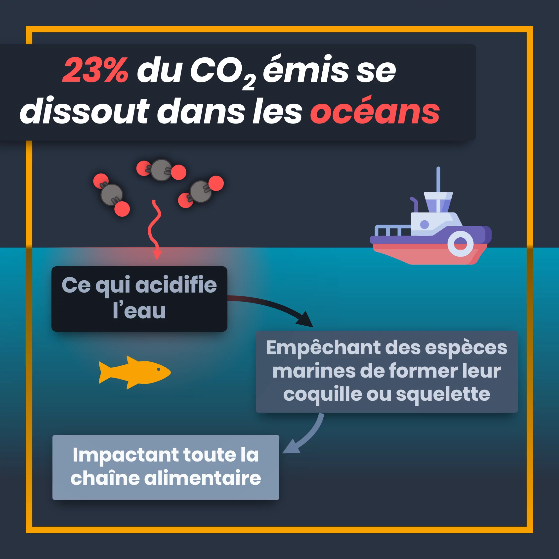 Que devient le CO2 que l’on émet ? — 6 sur 10