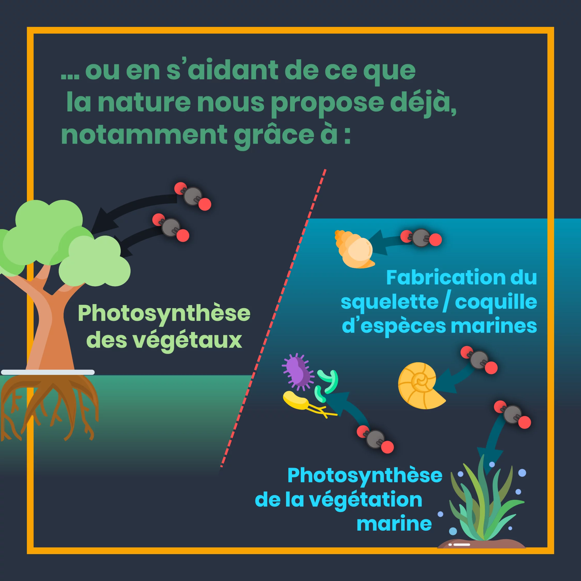 Que devient le CO2 que l’on émet ? — 8 sur 10