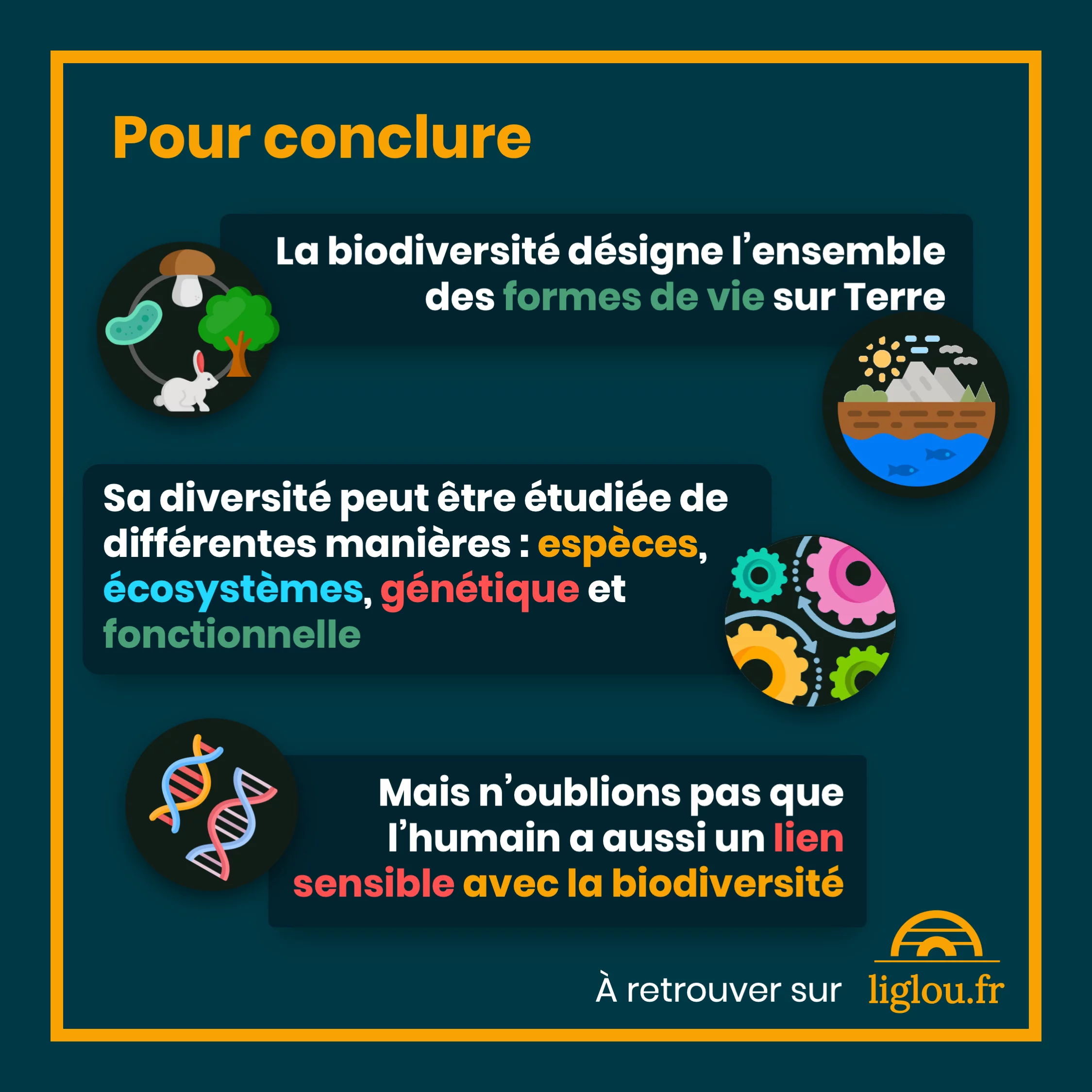Définition de la biodiversité — 10 sur 10