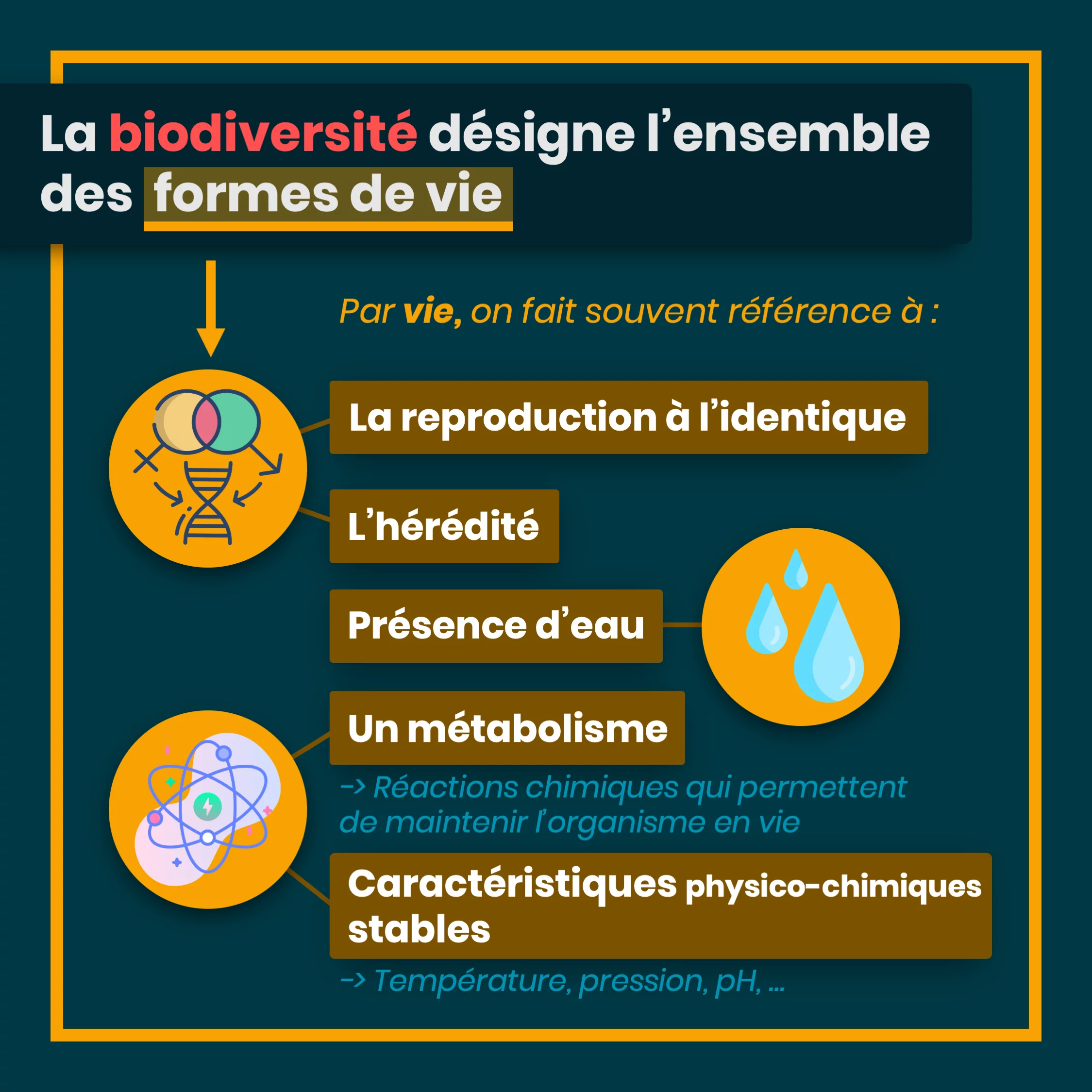 Définition de la biodiversité — 2 sur 10