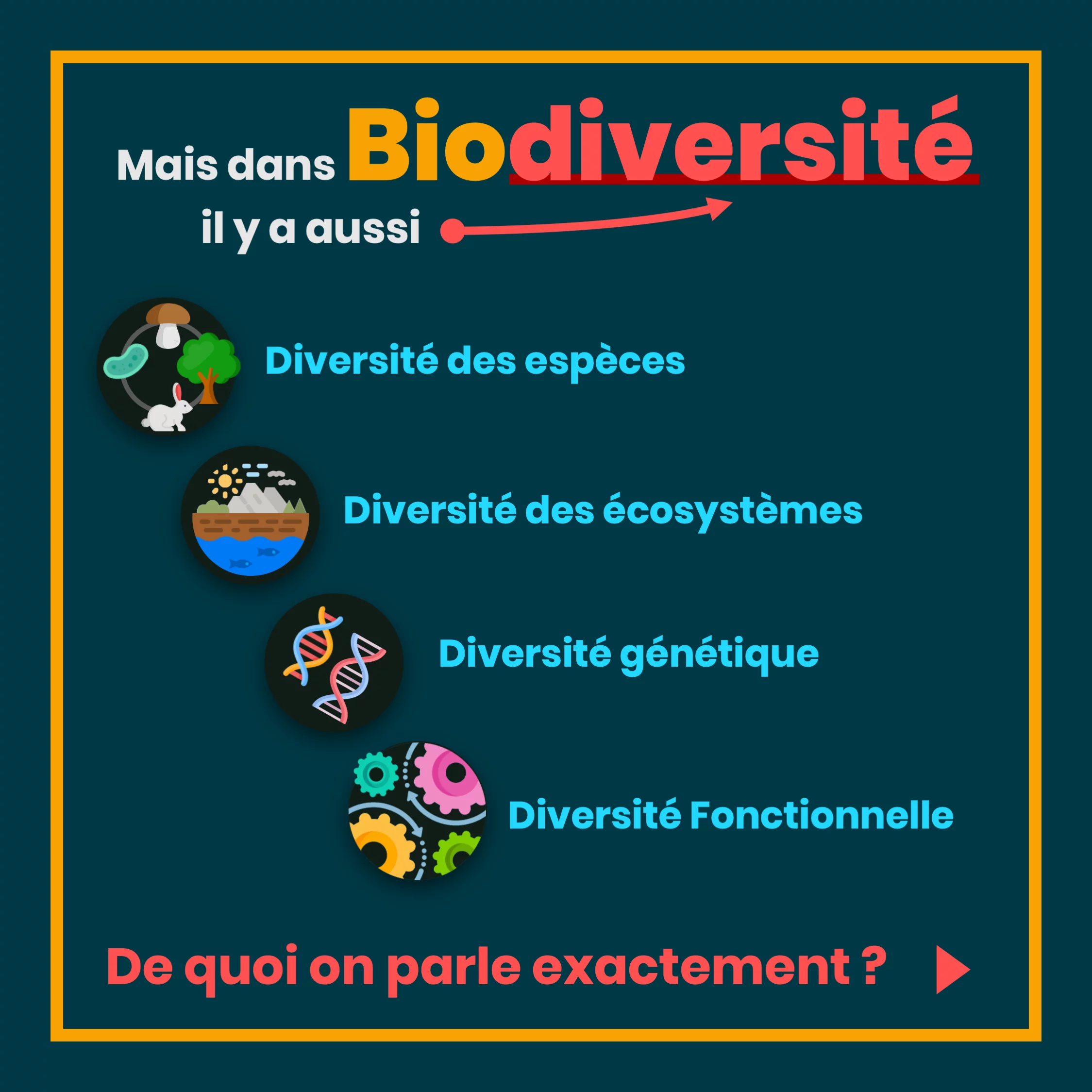Définition de la biodiversité — 3 sur 10