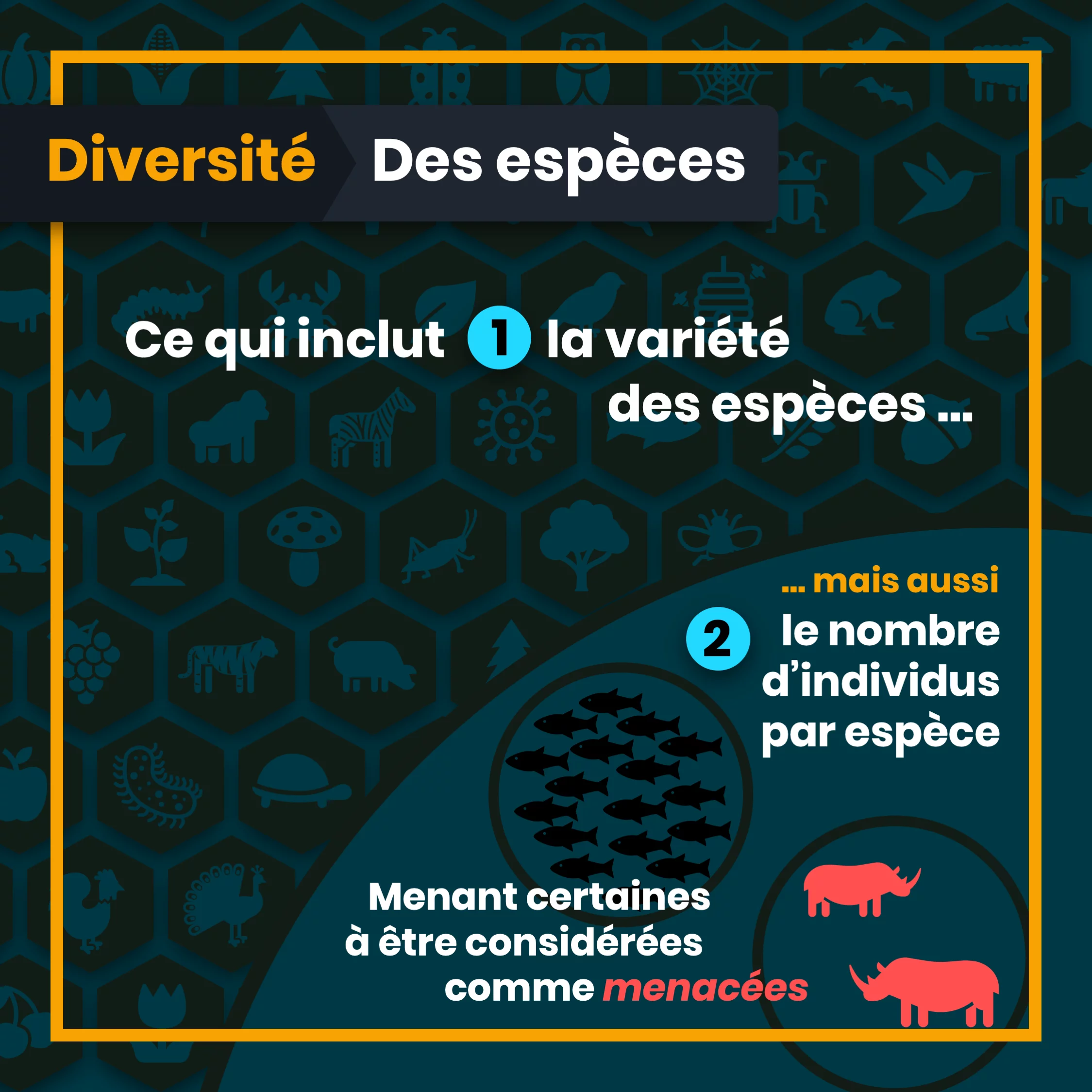Définition de la biodiversité — 4 sur 10