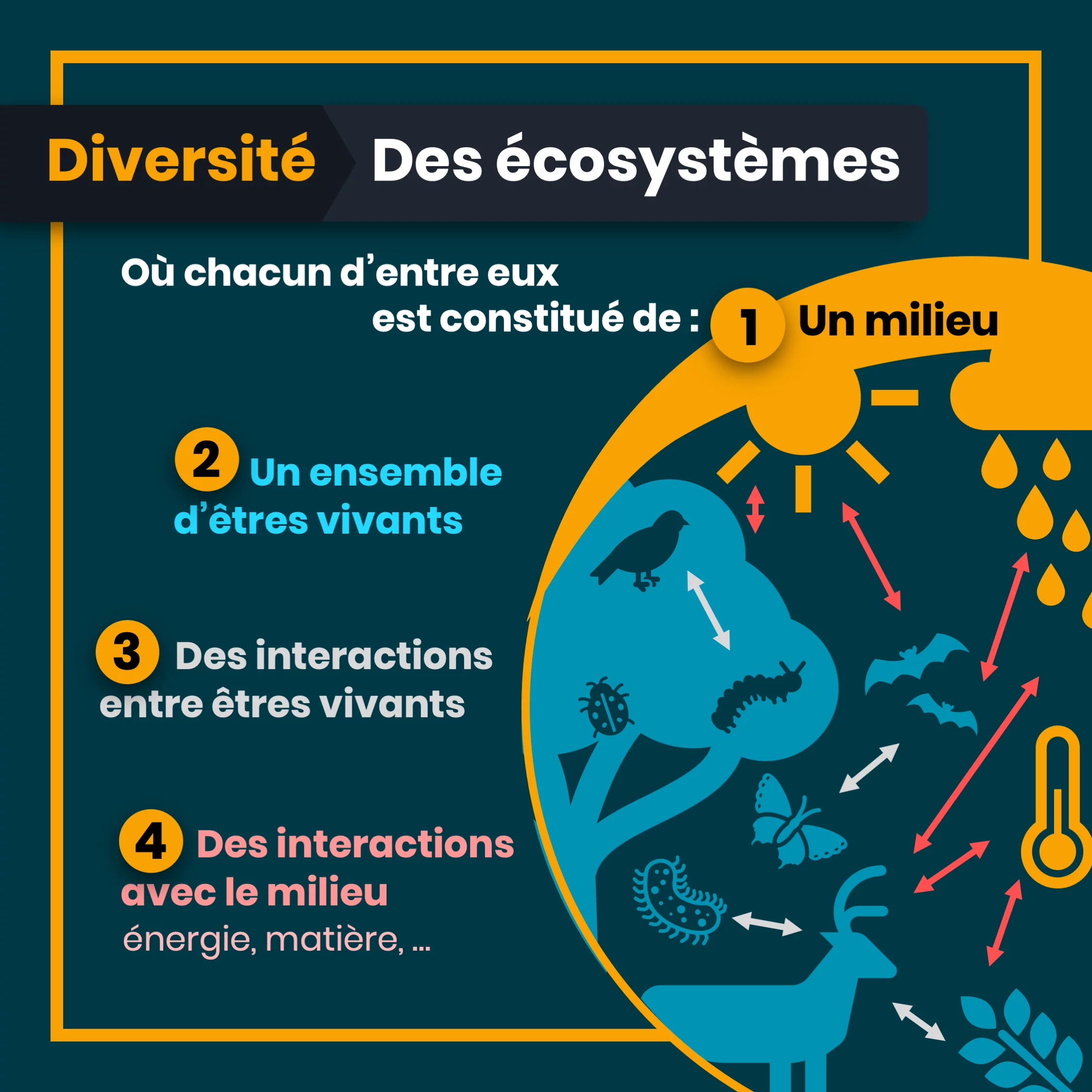 Définition de la biodiversité — 5 sur 10