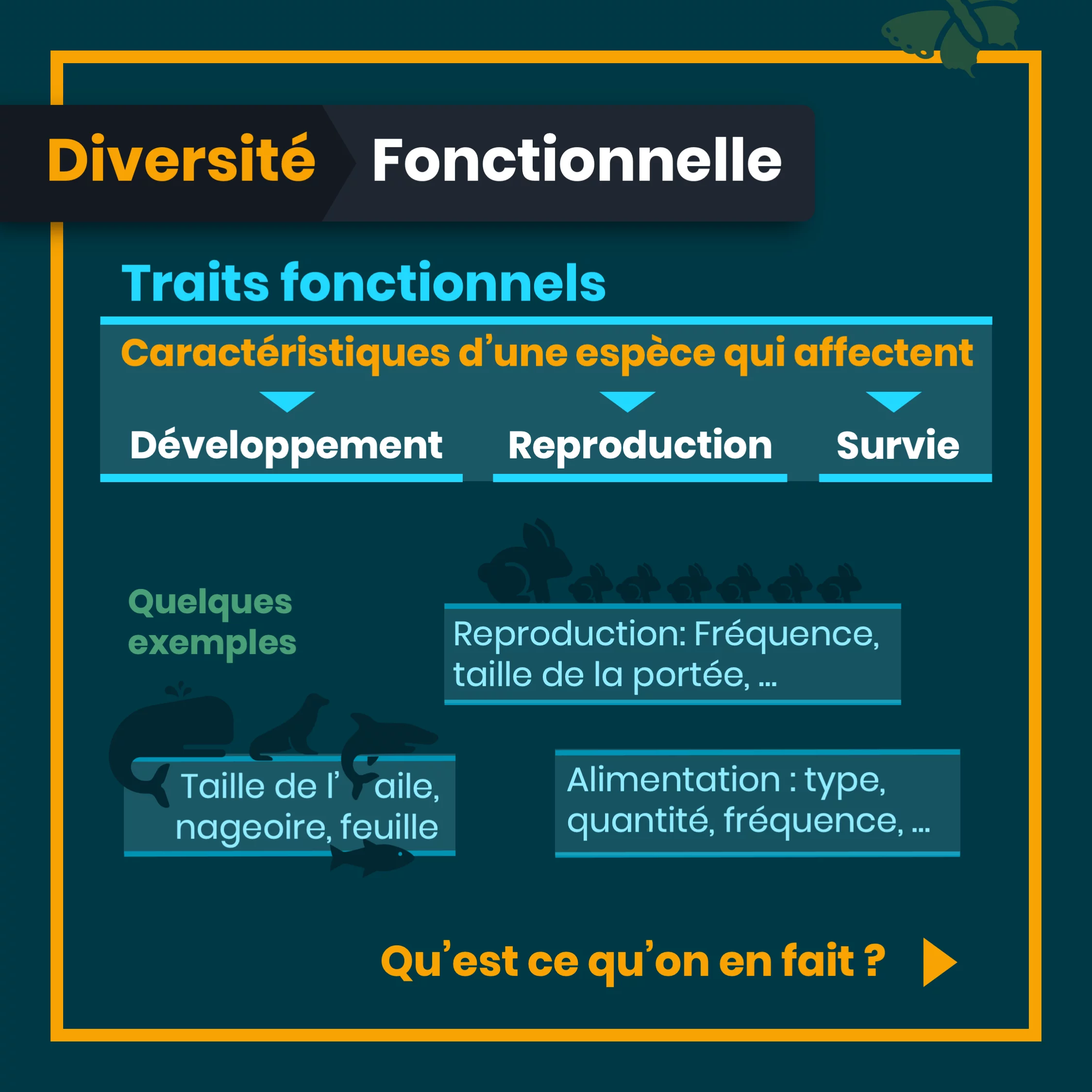 Définition de la biodiversité — 7 sur 10