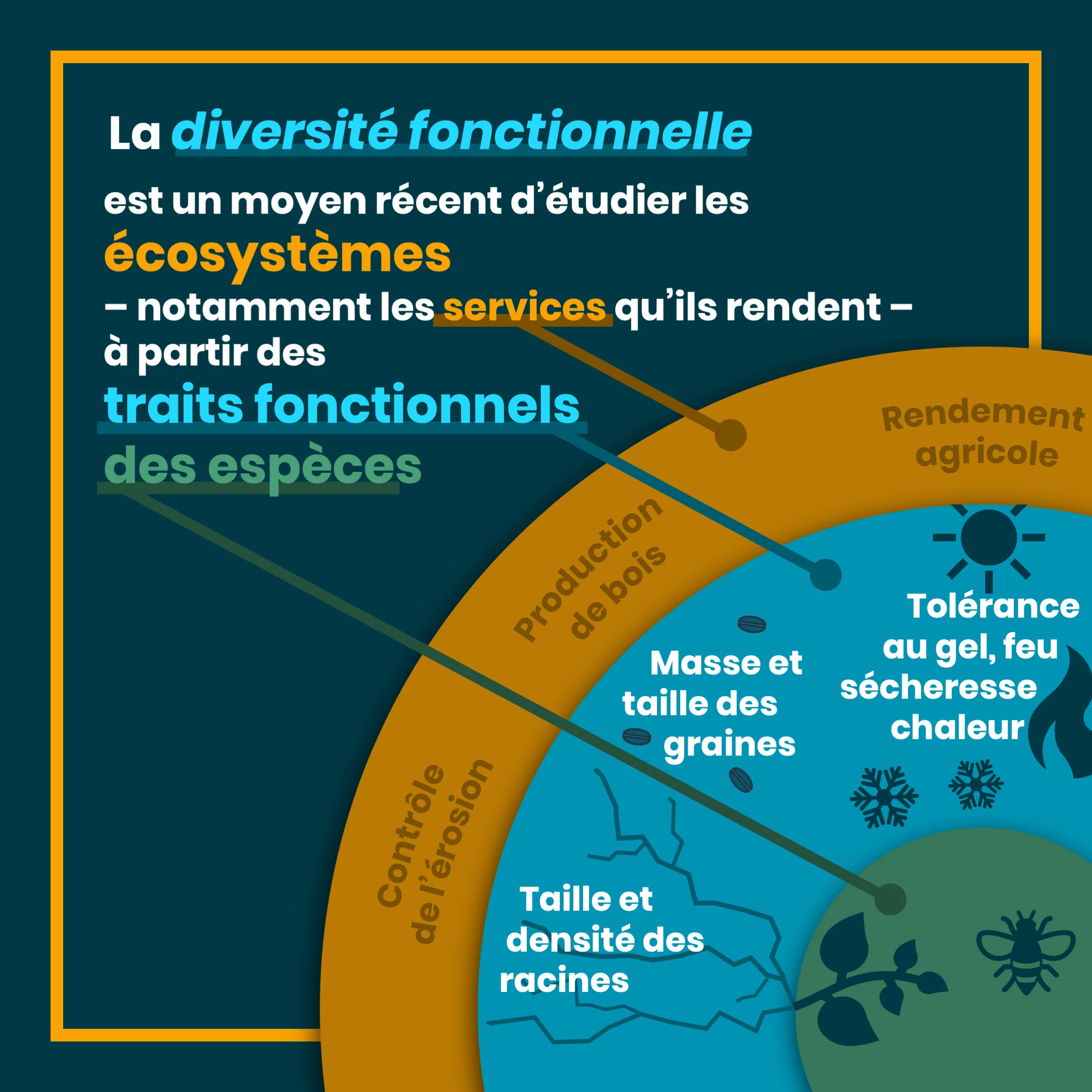 Définition de la biodiversité — 8 sur 10