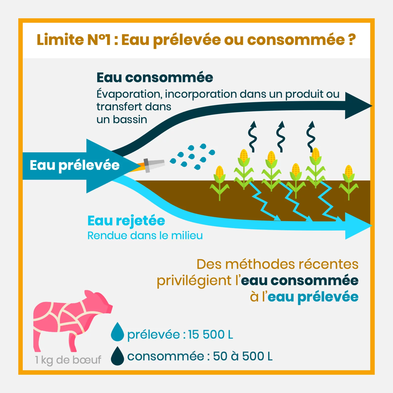 L’empreinte eau — 8 sur 11