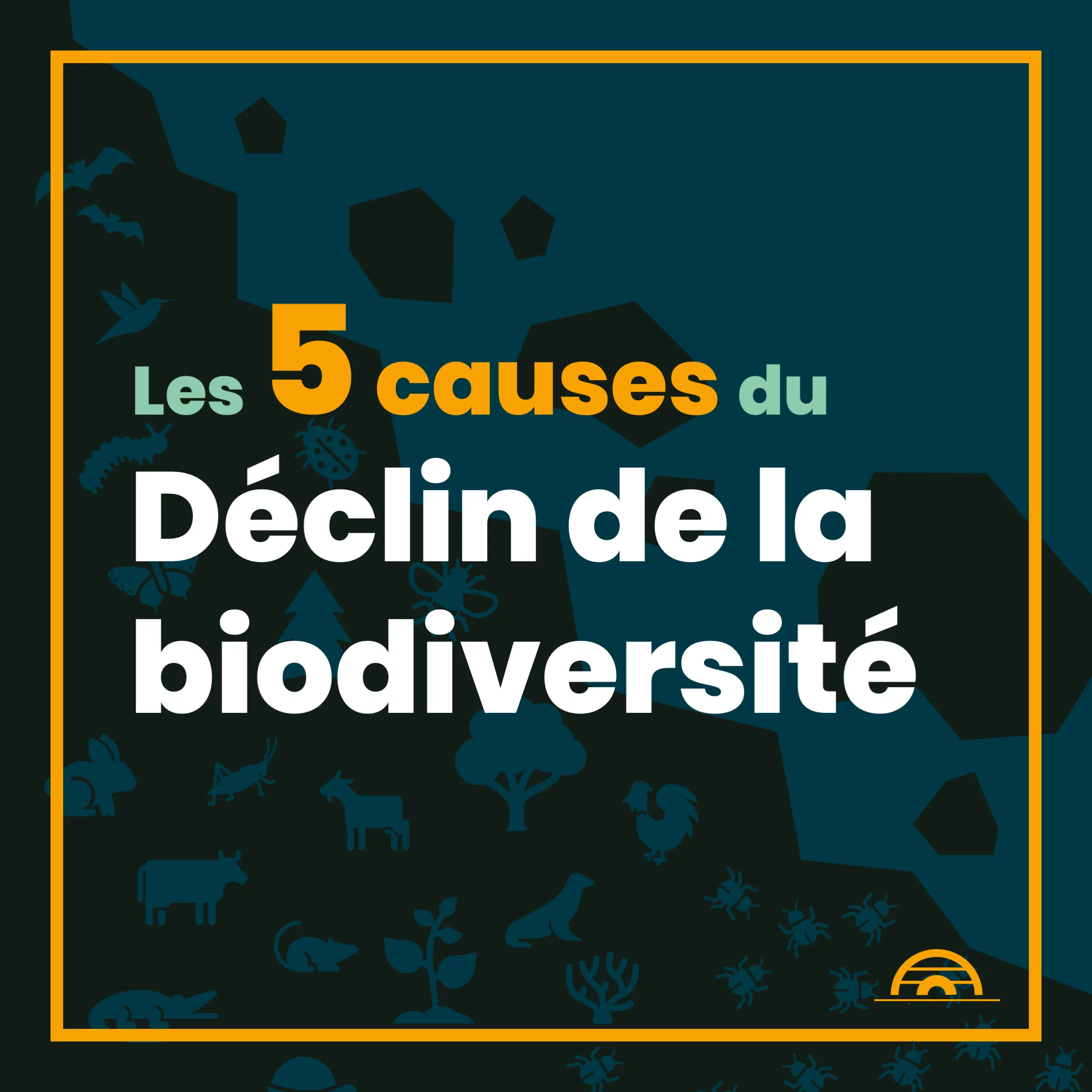 Les 5 causes du déclin de la biodiversité — 1 sur 12