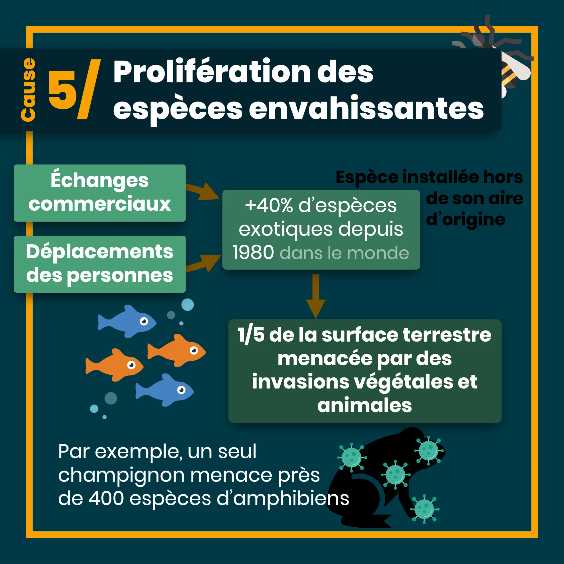 Les 5 causes du déclin de la biodiversité — 10 sur 12