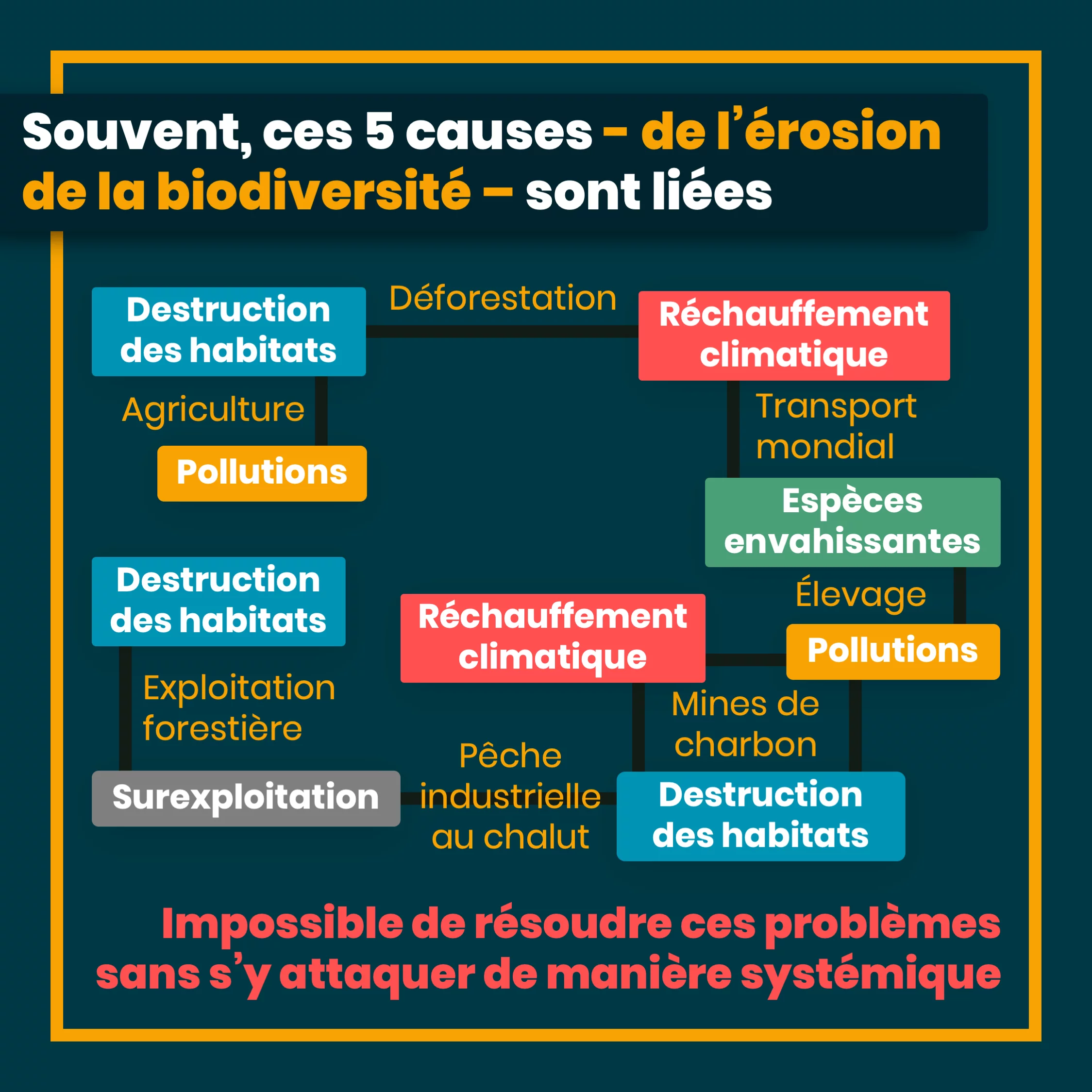 Les 5 causes du déclin de la biodiversité — 11 sur 12