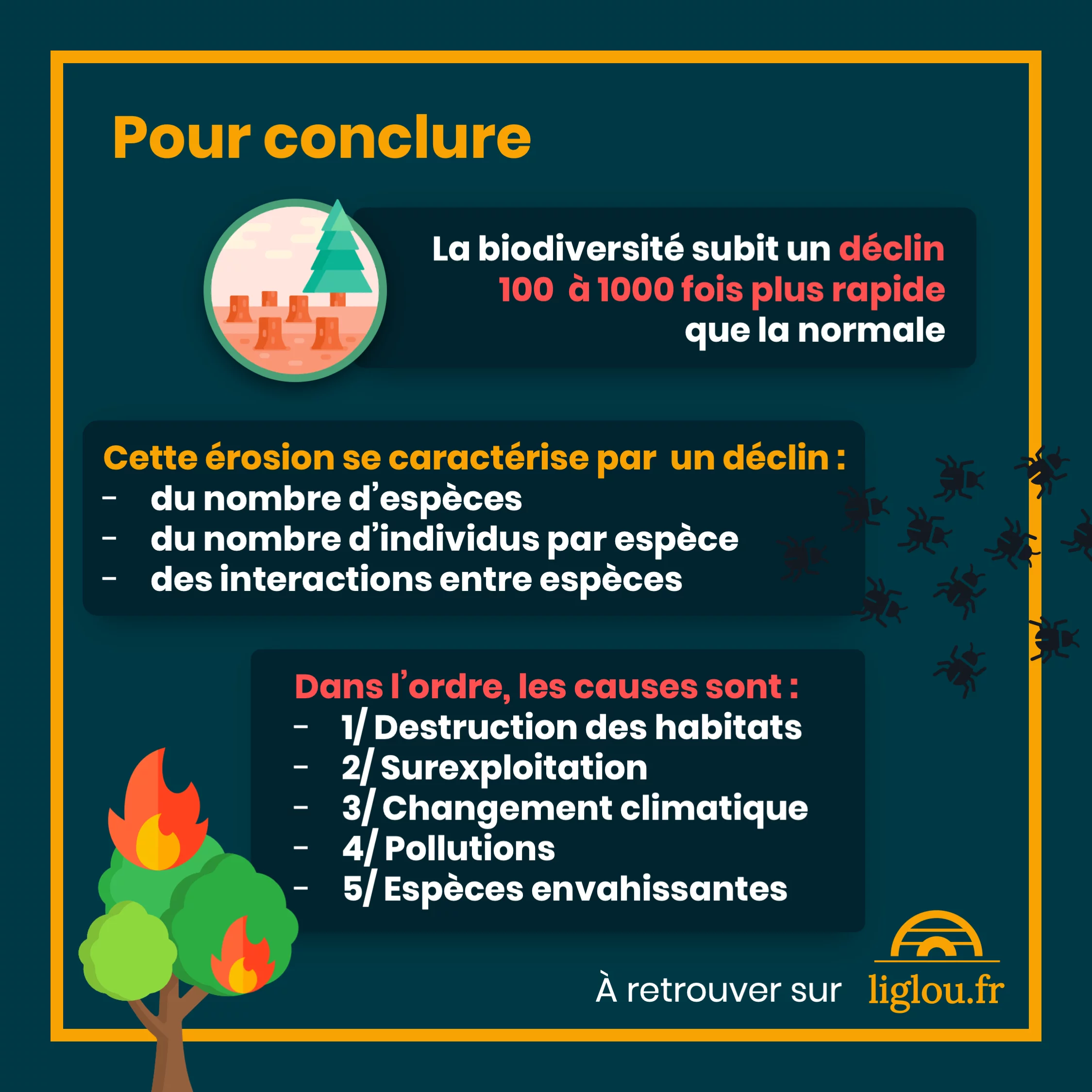 Les 5 causes du déclin de la biodiversité — 12 sur 12
