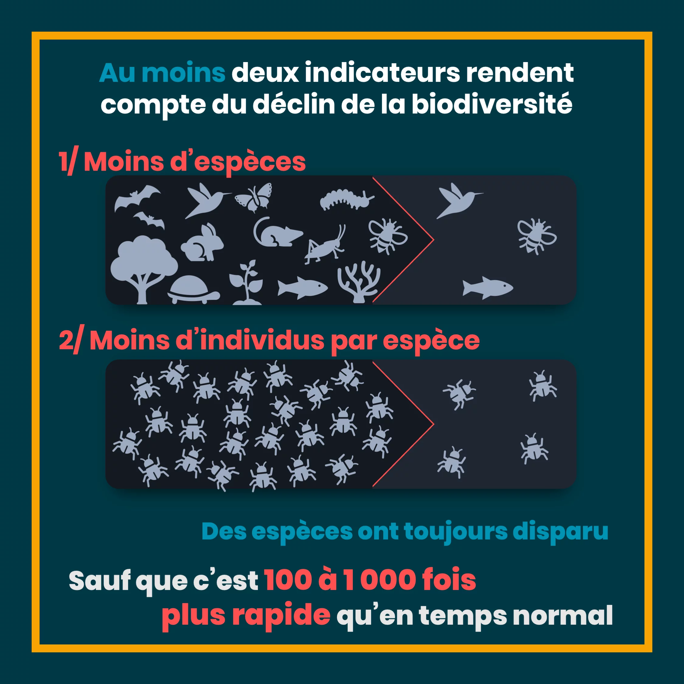 Les 5 causes du déclin de la biodiversité — 3 sur 12