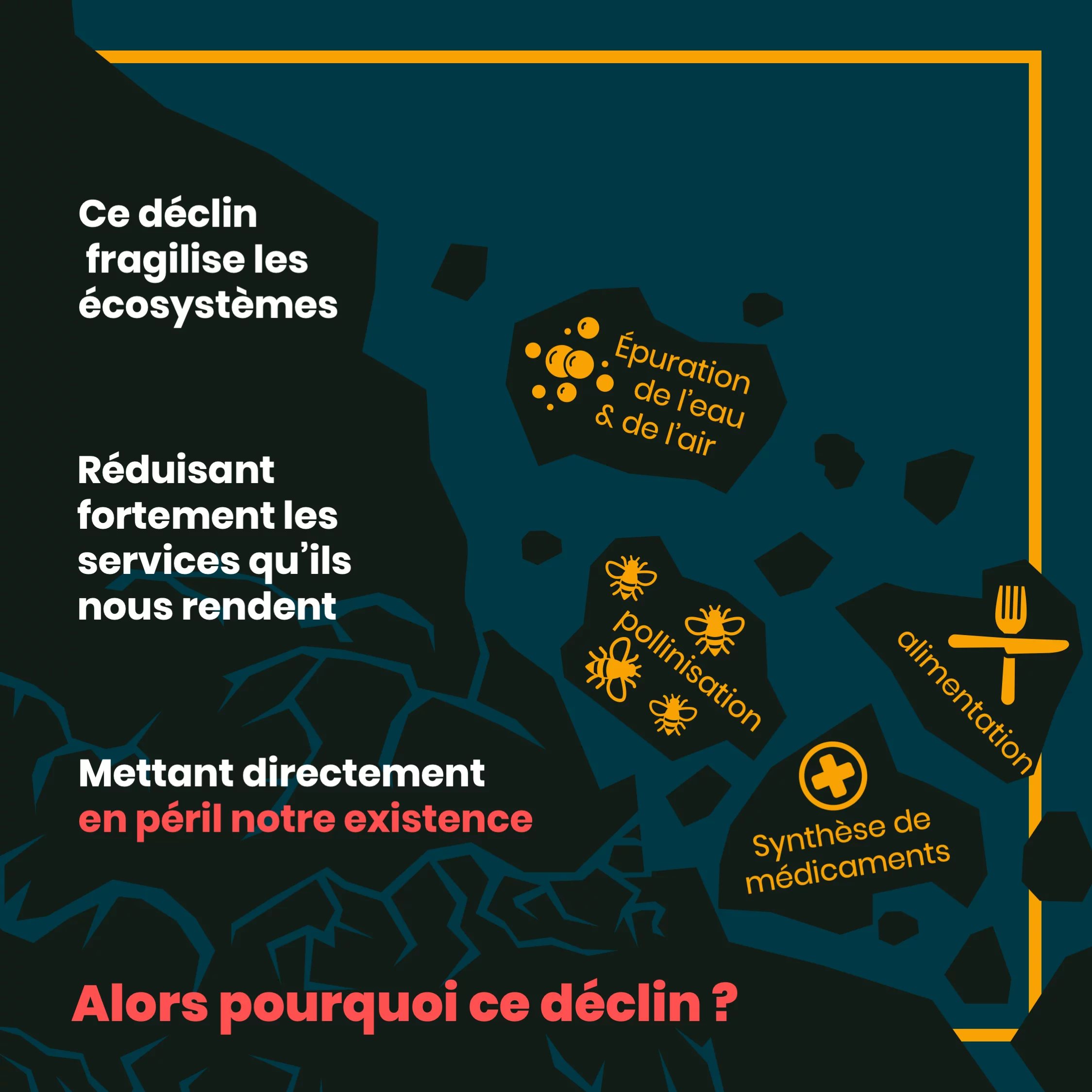 Les 5 causes du déclin de la biodiversité — 4 sur 12