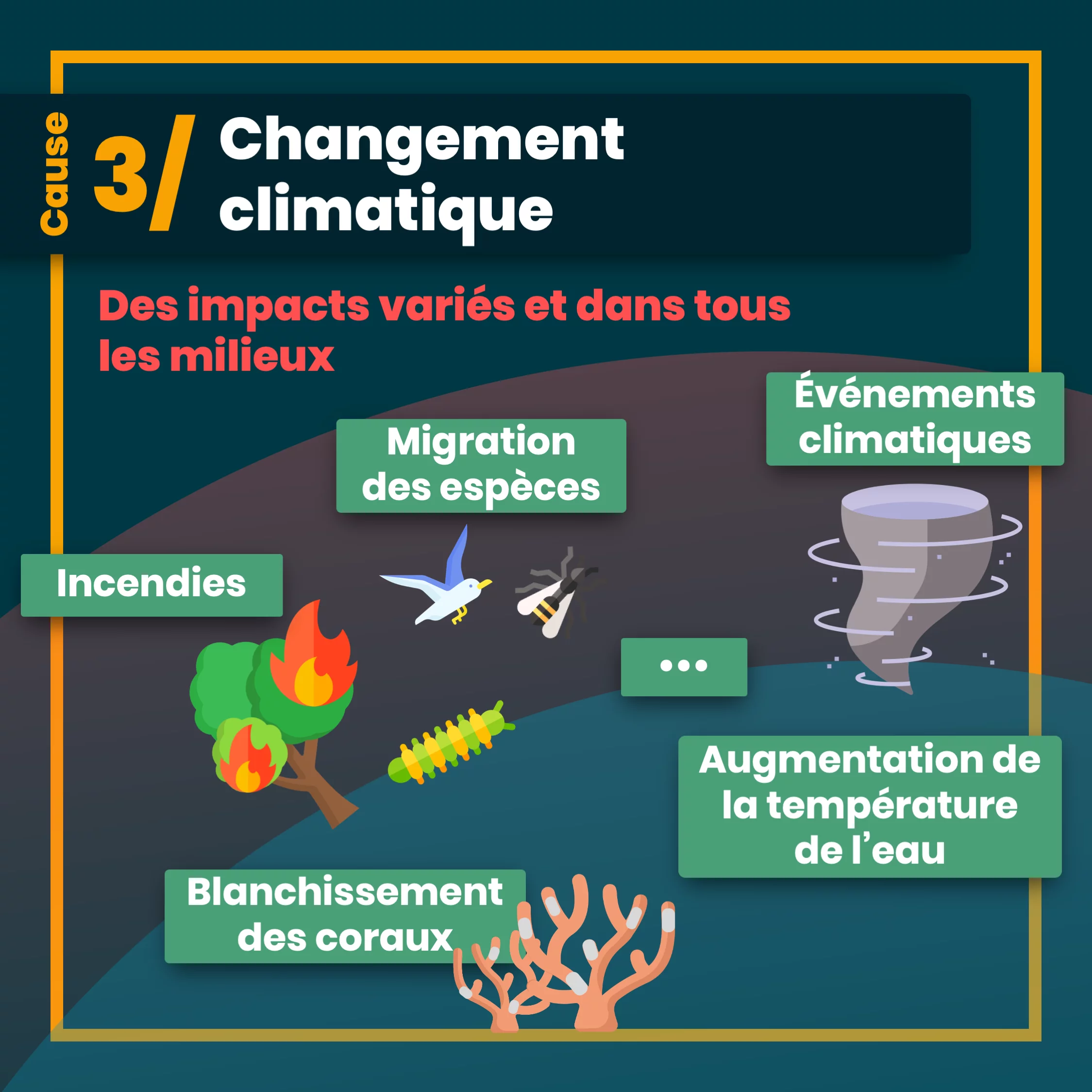Les 5 causes du déclin de la biodiversité — 8 sur 12