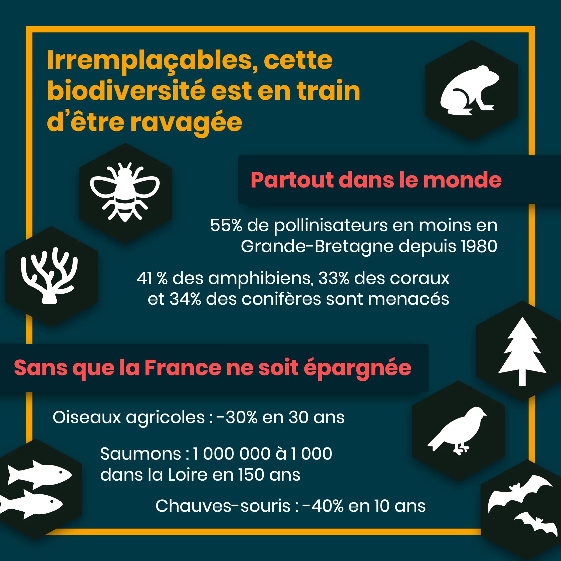 Les services écosystémiques — 9 sur 11