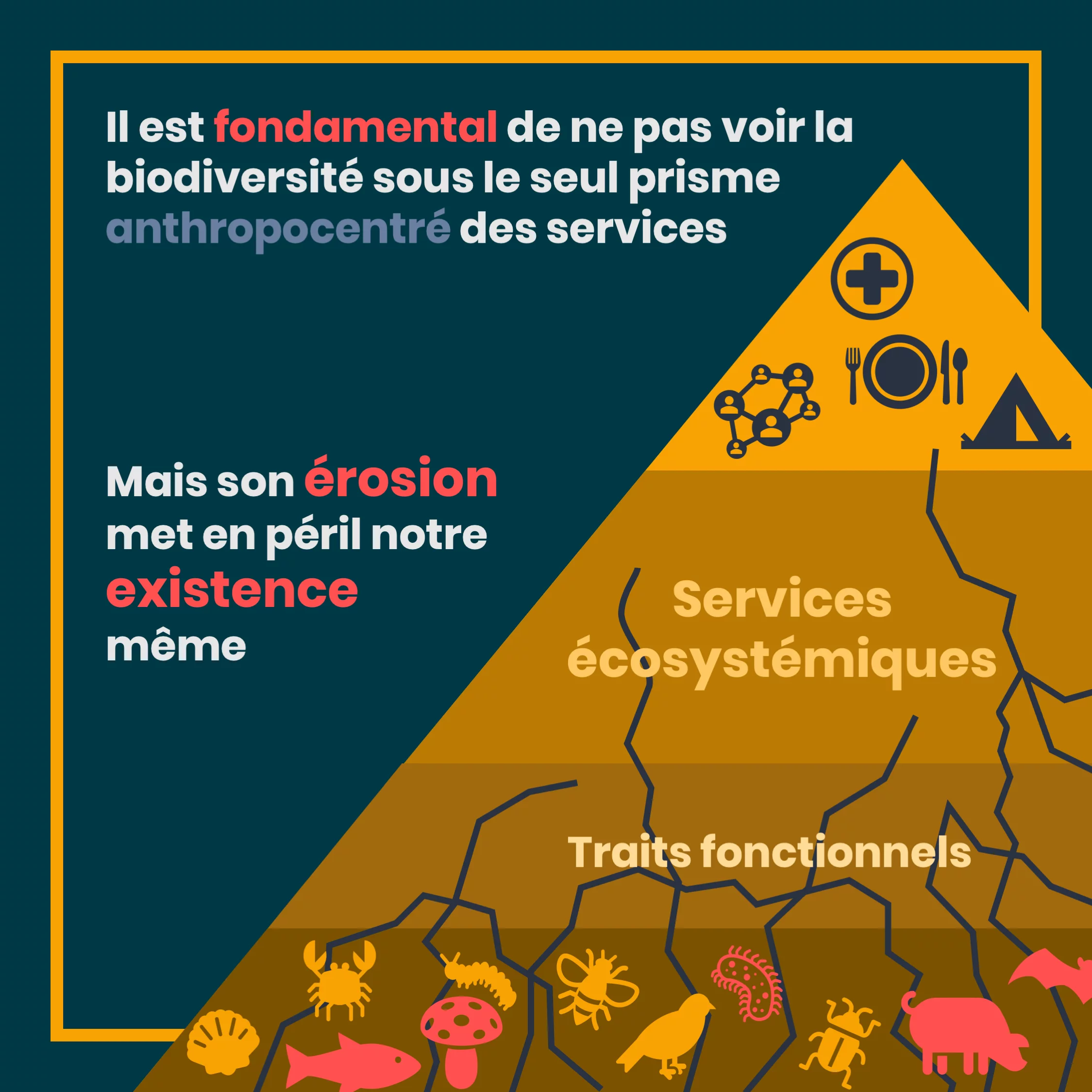 Les services écosystémiques — 10 sur 11