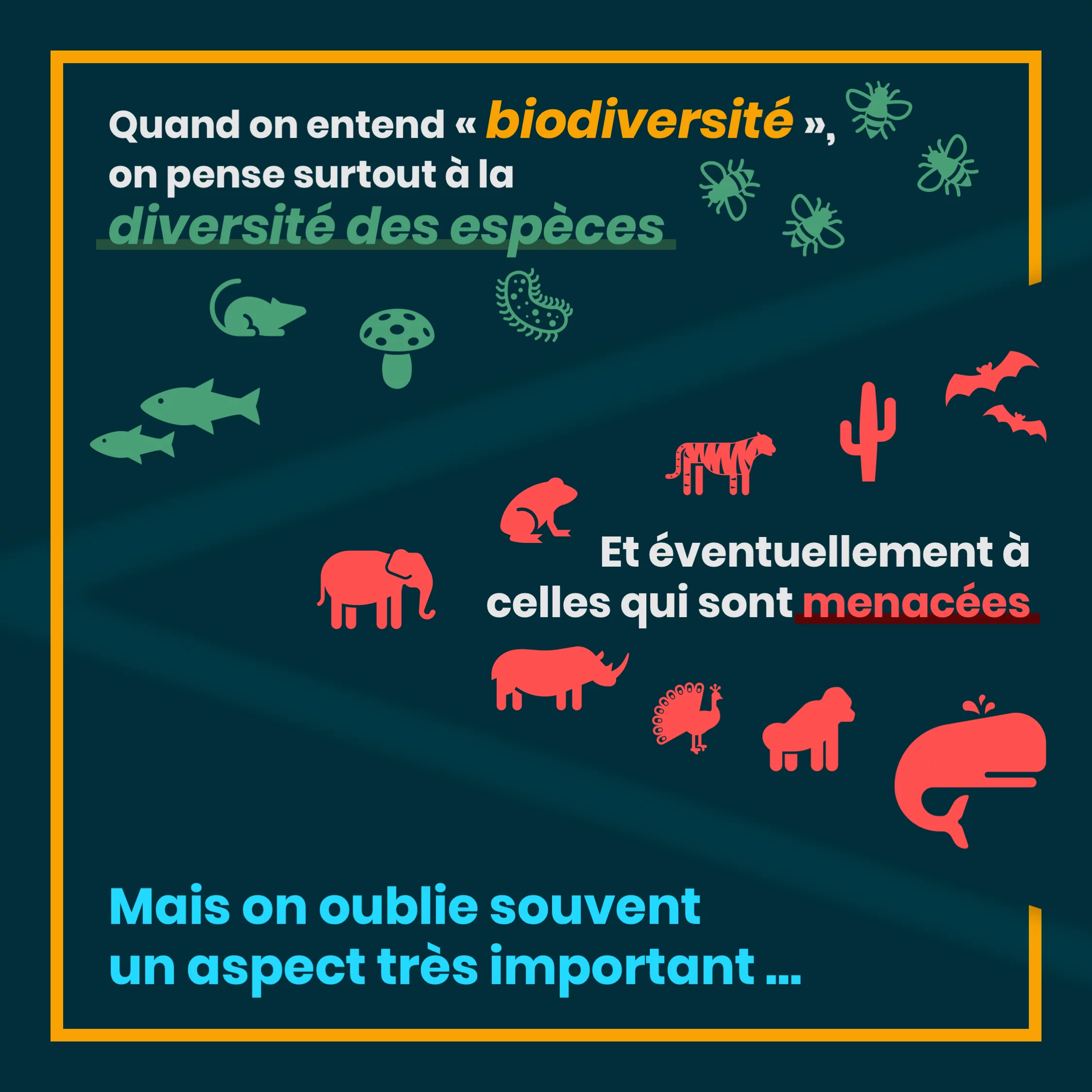 Les services écosystémiques — 2 sur 11