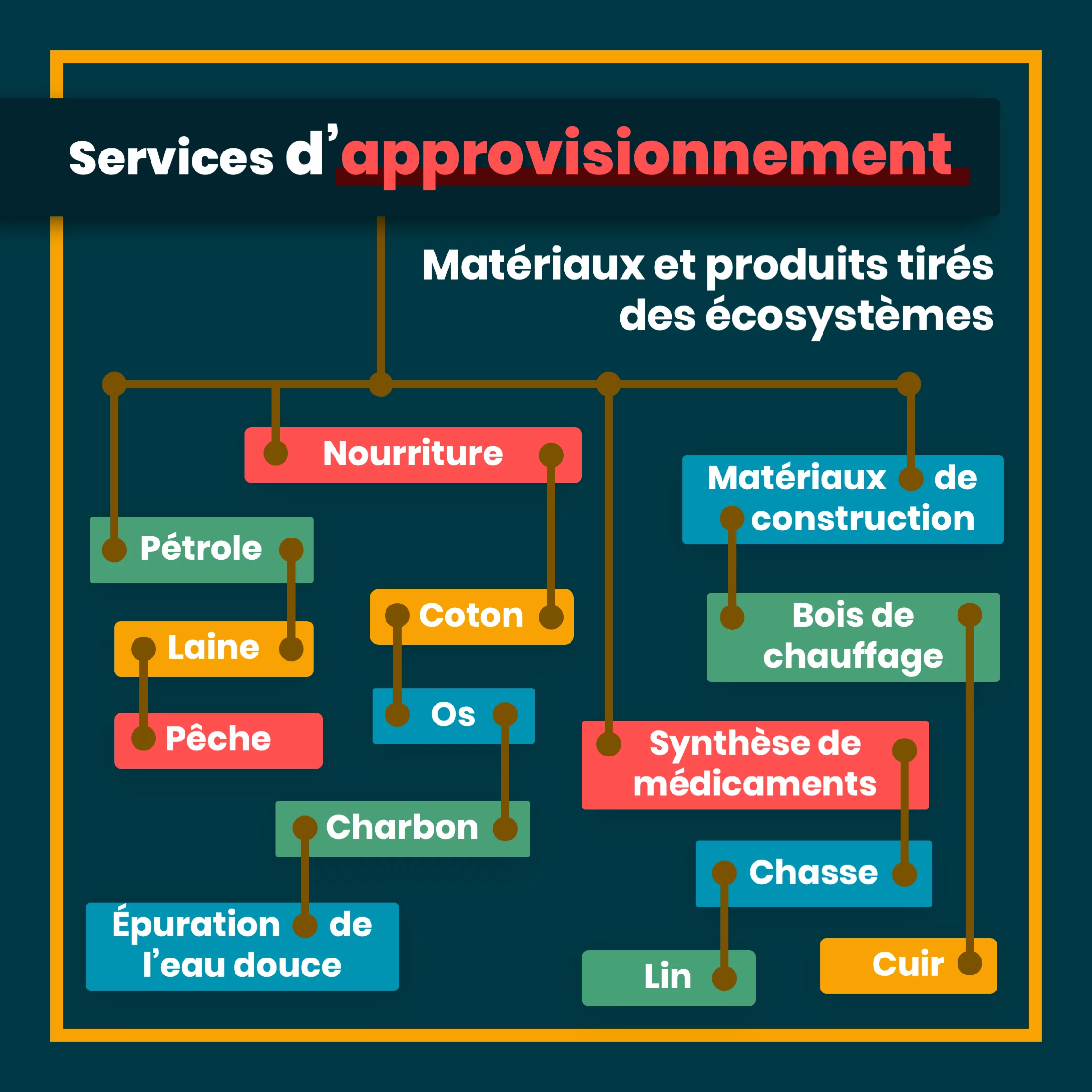 Les services écosystémiques — 4 sur 11