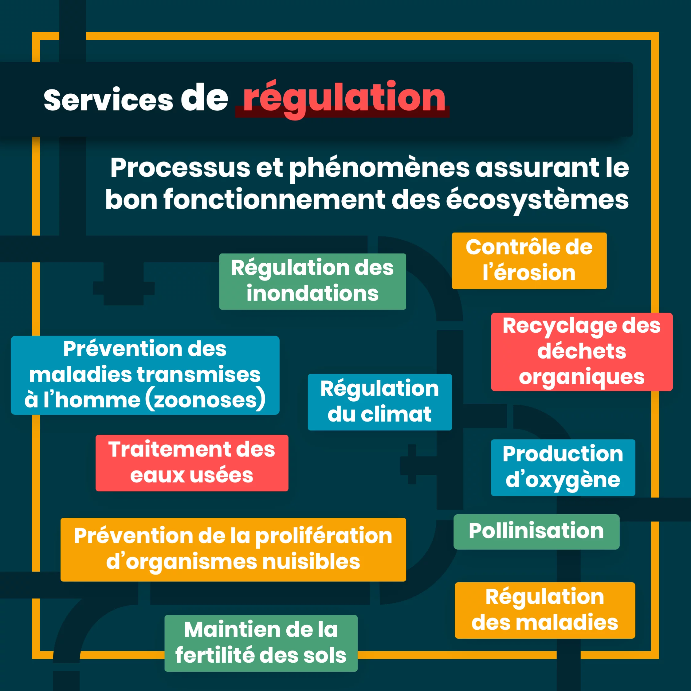 Les services écosystémiques — 5 sur 11