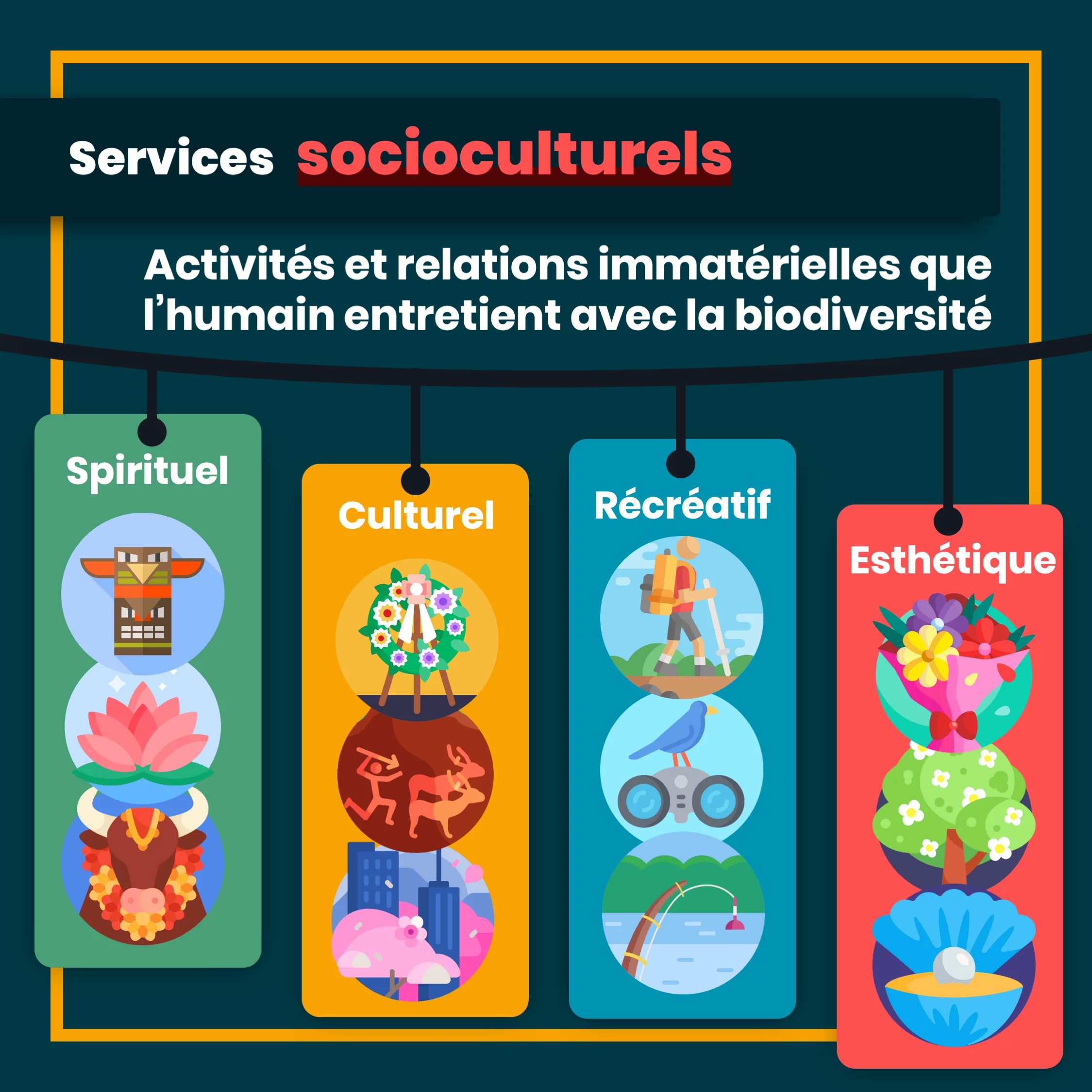 Les services écosystémiques — 6 sur 11
