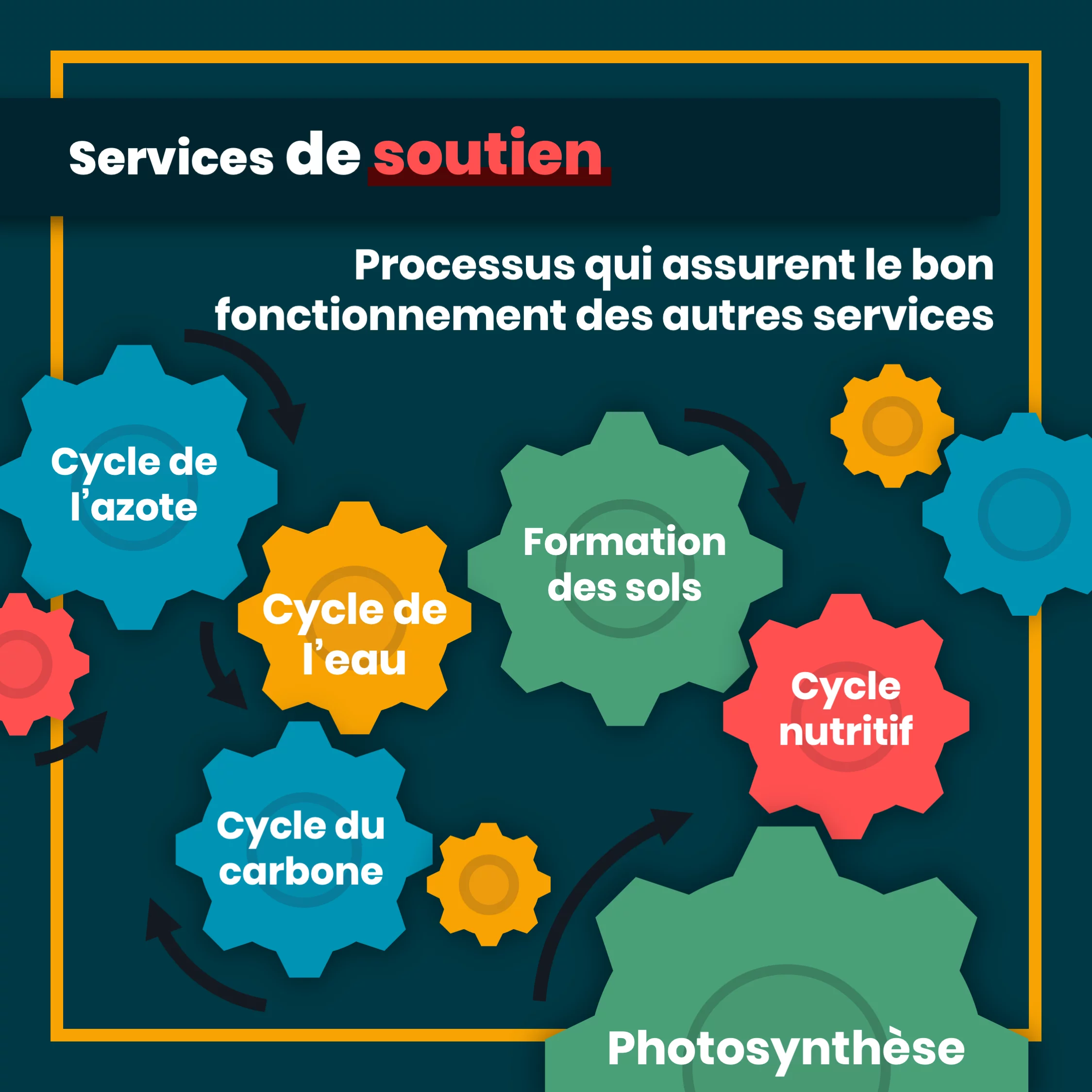 Les services écosystémiques — 7 sur 11