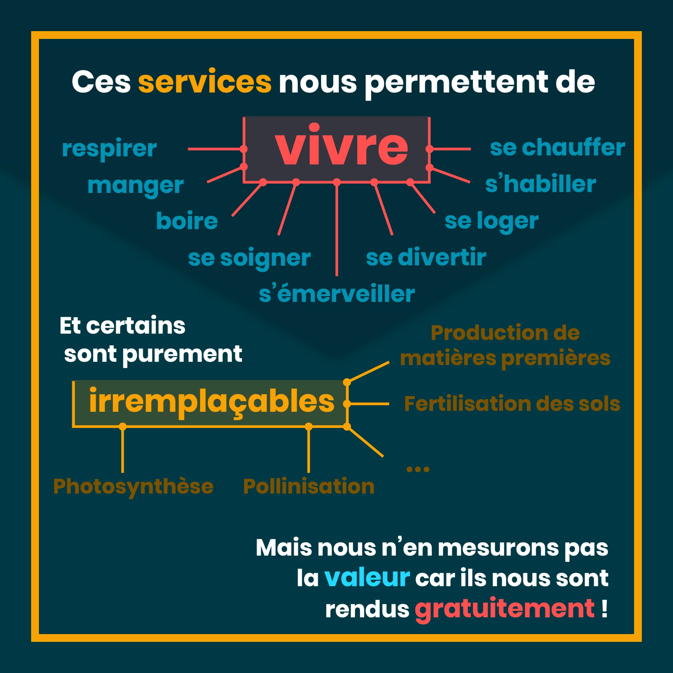 Les services écosystémiques — 8 sur 11