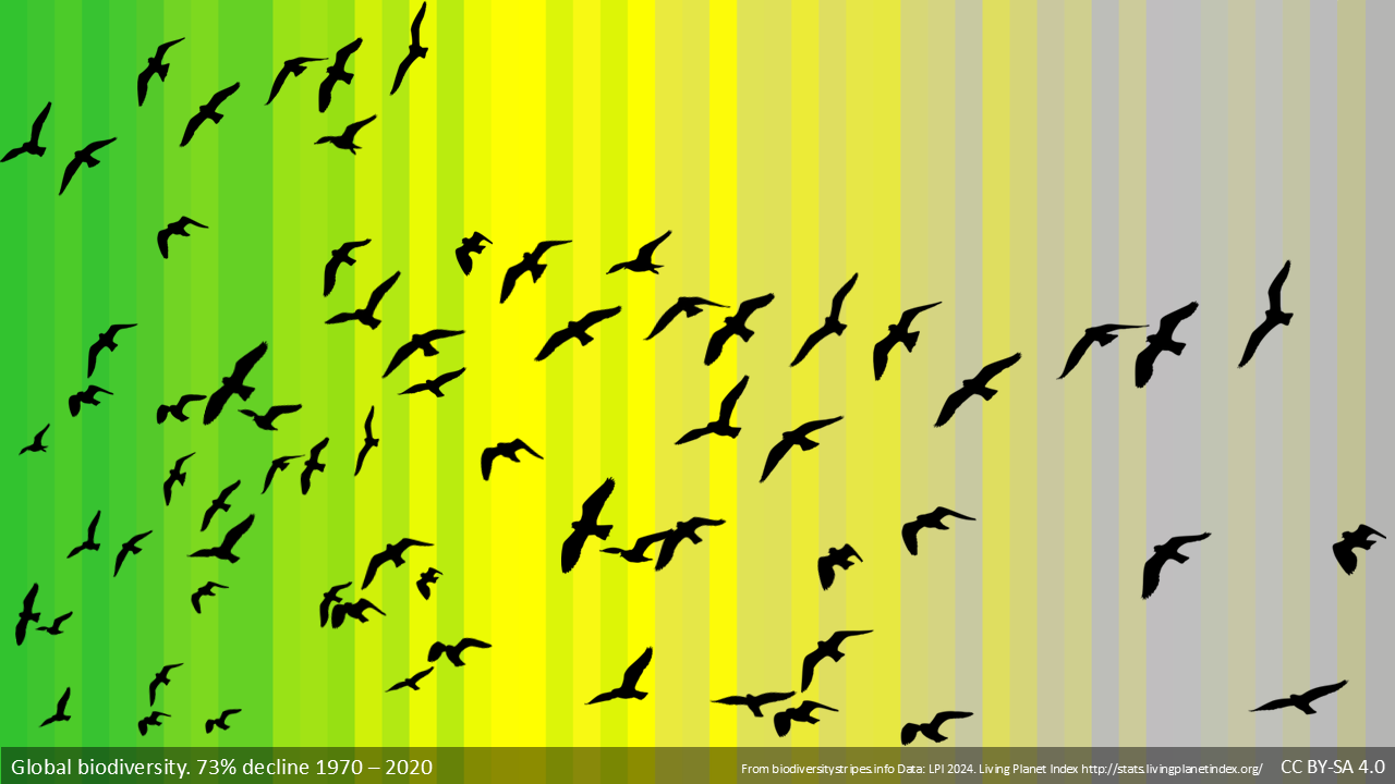 Biodiversity stripes : déclin mondial de la biodiversité de 1970 à 2020