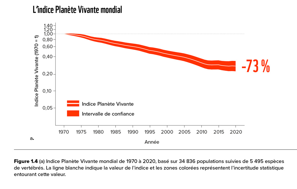 Indice Planète Vivante 2024 : déclin de 73 % des populations de vertébrés sauvages depuis 1970