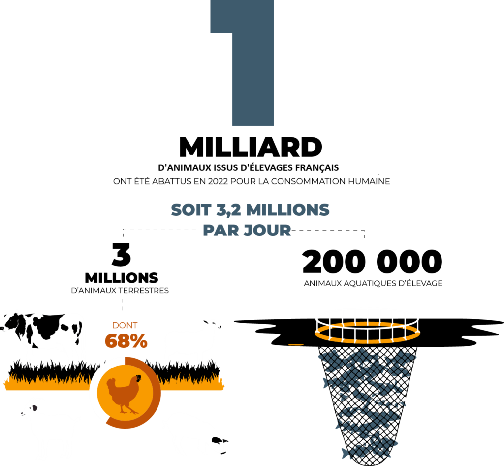 Bénéfices d’une diminution de la consommation de viande