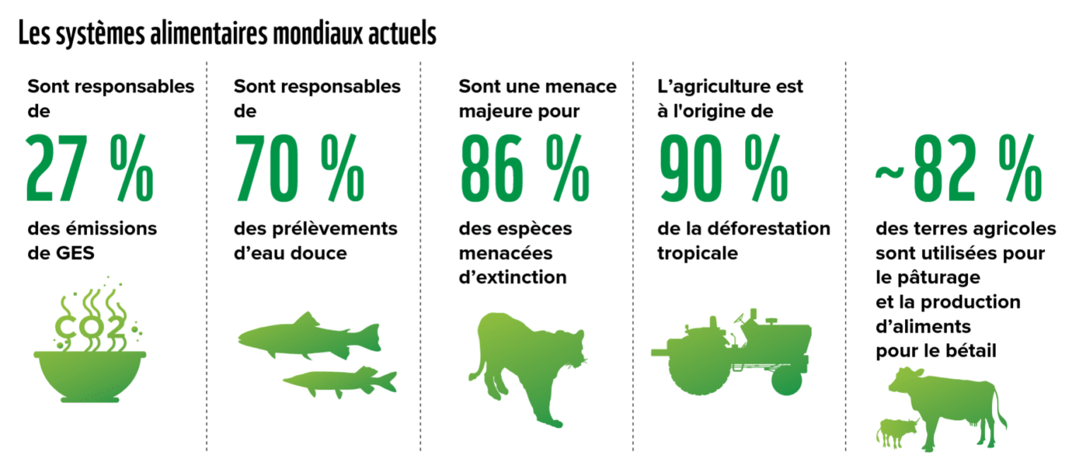 Répartition de la biomasse des mammifères terrestres : animaux sauvages, élevage et humains